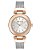 Relógio Feminino Anne Klein AK/4175SVRT - Imagem 1