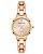 Relógio Feminino Anne Klein AK/4190RGRG - Imagem 1