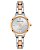 Relógio Feminino Anne Klein AK/4191SVRT - Imagem 1