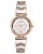 Relógio Feminino Anne Klein AK/3903SVRT - Imagem 1