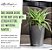 Vaso para Plantas Lechuza 14900 Deltini com Autopotagem para Uso Interno e Externo, 6 x 6 x 7, Branco - Imagem 4