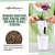 Vaso para Plantas Lechuza 14900 Deltini com Autopotagem para Uso Interno e Externo, 6 x 6 x 7, Branco - Imagem 3