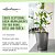 Vaso para Plantas Lechuza 14900 Deltini com Autopotagem para Uso Interno e Externo, 6 x 6 x 7, Branco - Imagem 5