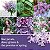 Vela Yankee Candle com aroma de Lilac Blossoms, 595ml, de 2 pavios, mais de 60 horas de queima - Imagem 3