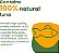 Almo Nature: Pacote de 12 unidades de Classic Complete Cat: Receita de Atum em Gelatina - Latinhas de 2.47oz, Alimento Úmido enlatado para gatos adultos, Livre de Grãos, Refeição Diária - Imagem 4