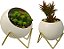 Vaso esférico Admired By Nature, Acento Decorativo, Suporte para Planta Suculenta, Suporte Geométrico Moderno para Casa, Escritório e Ideia de Presente, Dourado, Branco, Conjunto de - Imagem 1