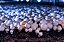 Kit de luz de crescimento interno Miracle LED Shroom para cogumelos ostra, shiitake, etc. - 4 lâmpadas de crescimento LED Full Spectrum Daylight Absolute Daylight & 4 Ultra Grow Blue Spectrum para substituir lâmpadas de - Imagem 3