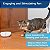 PetSafe Laser Tail - Brinquedo Automático de Laser para Gatos - Interativo - Alivia a Ansiedade - Muda ao Redor do Chão para Criar Padrões de Laser Aleatórios - Jogo sem as Mãos - Desliga Automaticamente para Evitar - Imagem 5