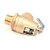 Válvula de Alívio de Pressão a Vapor Crown 3-SRV3, 15 PSI, 3/4 - Imagem 1