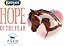 Cavalo Breyer do Ano | Hope | Brinquedo de Cavalo | Edição Especial - Beneficiando a Path International | 8 x 6 | Modelo #62123 Marrom & Branco - Imagem 2
