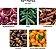 Difusor de Varetas NEST Fragrances - Feriados, 5.9 fl oz - Imagem 3