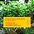 Sera Siporax Profissional 15 mm 1.000 mL, 10,2 oz. Acessórios para Filtro de Aquário - Imagem 5