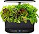 Kit de Cápsulas de Sementes para Mix de Folhas Verdes à Moda Antiga AeroGarden - Kit de Salada para Jardim Interno AeroGarden, 9 Cápsulas - Imagem 3