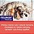 FELIWAY MultiCat Calming Pheromone, 30 Day Refill - 6 Pack
FELIWAY MultiCat Feromônio Calmante, Refil de 30 dias - Pacote com 6 unidades - Imagem 5