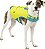 Colete salva-vidas para cães Kurgo Surf n' Turf - Colete salva-vidas para natação e passeios de barco - Colete salva-vidas para cães com alça de resgate e detalhes refletivos - Imagem 1
