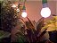 Kit de Lâmpada de Cultivo de LED de 3 Soquetes para Jardim de Cozinha Miracle LED 601906 com Lâmpadas de Crescimento de Espectro Vermelho para Flores Ultra Bright Substituindo 150W (pacote com - Imagem 4