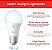 Lâmpada Inteligente Sengled Alexa, Emparelhamento Automático com Dispositivos Alexa, Lâmpadas Inteligentes que Funcionam com Alexa, Iluminação Inteligente Bluetooth Mesh para Casa Inteligente, Luz do Dia 5000K - Imagem 2