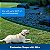Transmissor de barreira externa PetSafe Pawz Away Extra para cães e gatos - Proteja várias áreas e expanda a cobertura - Adicione animais ilimitados - À prova d'água - Áreas à prova de animais de estima - Imagem 4