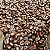 Café em grãos torrados Cameron's Coffee, Scandinavian Blend, 28 onças, (pacote de 1) - Imagem 5