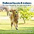 Cerca para animais de estimação sem fio PetSafe Stay&Play com colar de bateria substituível, cobre até 3/4 de acre, para cães e gatos com mais de 5 libras, colar à prova d'água - Imagem 2