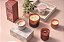 Vela de Soja Perfumada em Vidro Terra Tabac Statement, Essentials Beautifully Done Illume, 6 comprimento x 3 largura x 3 altura - Imagem 3