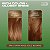 Corante capilar demi-permanente Clairol Natural Instincts, 7RG Loiro rosa ouro escuro, pacote com 3 unidades. - Imagem 5