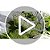 Difusor de Varetas NEST Fragrances Lime Zest & Matcha, 5 fl Oz - Imagem 4