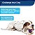 Brinquedo para cães PetSafe Busy Buddy Nobbly Nubbly Treat Holding - Mastigadores fortes - Desafiador - Anéis de petiscos incluídos - Grande - Imagem 4