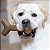 Benebone Bacon Stick - Brinquedo durável para cães mastigadores agressivos, sabor bacon real, feito nos EUA, Gigante - Imagem 2