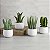 Mini planta suculenta artificial em vaso 47th & Main, conjunto de 4, Cacto/Branco - Imagem 2