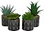 Planta Artificial Pequena de Suculenta com Foliagem Falsa Novogratz com Folhas Realistas e Vaso com Estampa de Folhas, Conjunto de 4 com Altura de 4, 7 e 6, Verde - Imagem 4
