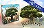 Capstone Games: Renature, Jogo de Tabuleiro de Estratégia, Transforme o Vale Poluído em um Ecossistema Próspero, Regras Fáceis de Seguir, Para Maiores de 14 Anos - Imagem 2