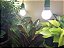 Kit de sistema de iluminação com 4 soquetes com fio pronto para LED de espectro completo da Miracle LED 602785 - Imagem 4