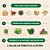 Proteína Vegetal Orgânica Crua e Superalimentos Baunilha Garden of Life - Pó de Proteína Vegana para Mulheres e Homens, Proteínas de Origem Vegetal e de Ervilha, Superalimentos e Probióticos - Imagem 3