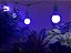 Kit de Luzes de Crescimento LED para Hidroponia Indoor da Miracle - Inclui 4 Lâmpadas de Luz de Crescimento de Espectro Azul Ultra Grow de 150W e 1 Conjunto com 4 Soquetes com Tempor - Imagem 4