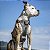 Peitoral para Cachorro com Liberação Rápida Kurgo Tru-Fit - Peitoral Durável para Uso Diário - Caminhada, Corrida, Corrida - Fivelas de Liberação Rápida Refletivas - Incl - Imagem 4