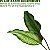 Detergente líquido natural para lavanderia de bebês WBM Care, suave para pele sensível de bebês - 34 oz, 100 cargas (2 pacotes) - Imagem 5