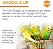 Aquecedor K&H Pet Products Snuggle-Up Bird, Aquecedor de Pássaros em Gaiolas para Pássaros Exóticos Pequenos como Periquitos ou Calopsitas, Aquecedor para Gaiola de Pá - Imagem 5