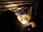MilagreLED 604665 Azul 6-Pack Luz de Bloqueio de UV, Substituição de 60W - Imagem 2