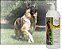 Suplemento de Óleo de Salmão Puro UltraCruz para Cães, 32 oz, sc-395127 - Imagem 2
