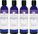 Óleo de massagem calmante Master Massage, 8 oz. Pacote com 4 unidades. - Imagem 1