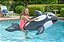 Flutuador de Piscina Inflável Poolmaster Baleia Gigante Cinza Grande - Imagem 3