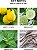 Sabonete Líquido de Limão e Hortelã Amalfi NEST Fragrances 10 Onças - Imagem 3