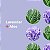 Lenços umedecidos desinfetantes para as mãos da Everyone, 15 lenços (pacote com 6), Lavanda e Aloe, Álcool derivado de plantas com óleos essenciais puros. - Imagem 5