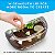 Kit de Terrário Iluminado NATIONAL GEOGRAPHIC para Crianças - Construa um Habitat de Dinossauros com Plantas Reais e Fósseis, Kit de Ciências, Brinquedos de Dinossauros para Crianças (Exclusivo da Amazon) - Imagem 3