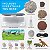 Kit de Terrário Iluminado NATIONAL GEOGRAPHIC para Crianças - Construa um Habitat de Dinossauros com Plantas Reais e Fósseis, Kit de Ciências, Brinquedos de Dinossauros para Crianças (Exclusivo da Amazon) - Imagem 5