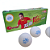 Bola Tênis de Mesa 2 Estrelas V40+ com 10 pçs Double Fish ITTF - 713 - Imagem 1