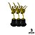 Troféu de Balé Bailarina  20,5cm BASE REDONDA  AX  825 - PACK COM 3 - Imagem 1
