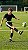 Elástico Rebote Futebol Treinamento - 088 - Imagem 3
