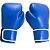 Luva de Boxe 10 Onças PRO AX Esportes Azul (Par)-Y330 - Imagem 1